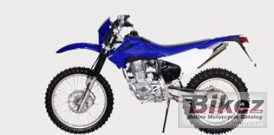 2008 Diamo RS250 photo